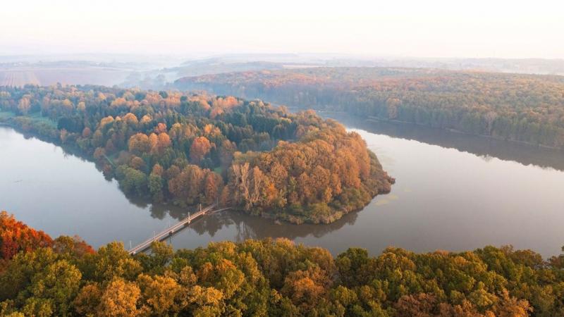 A jövő képe szívszorító, a valóság pedig egyre sötétebb árnyakat vetít elénk: Somogy erdői lassan kiapadnak, és ha nem változtatunk, ez a kegyetlen sors hamarosan elér minket.