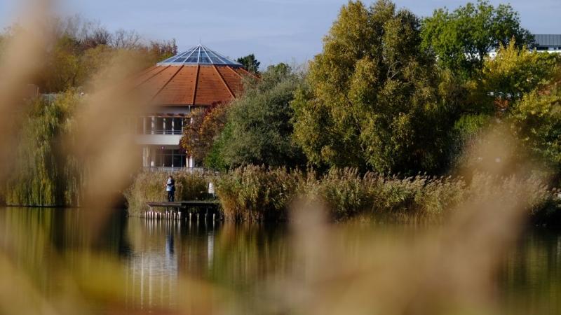 Fedezd fel Nyíregyháza-Sóstó lenyűgöző őszi varázsát, ahol a természet minden zugát arany színbe öltözteti! Mesés képek és élmények várnak rád! (Fotókkal gazdagon!)