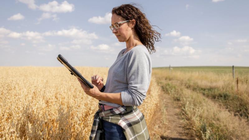 Ezen a ponton minden a tét: jelentős anyagi jutalomra számíthat az, aki mesterien végzi a feladatát - Agro Napló.