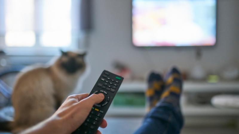 Legendás tévéműsor tér vissza a képernyőre: sokan várták már ezt a pillanatot - Pénzcentrum

Izgalmas hír érkezett, hiszen a népszerű tévéműsor újra megjelenik a képernyőkön! A rajongók már régóta várták ezt a napot, amikor kedvenc karaktereik ismét életr
