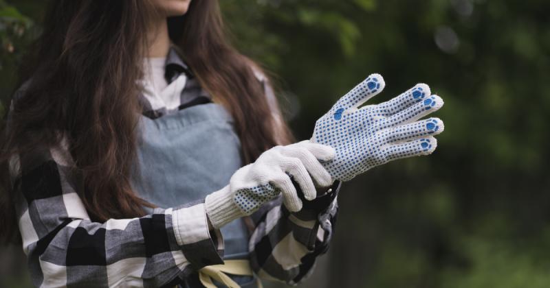 Milliós büntetést kockáztathatsz, ha ezt a lépést választod a kertedben – hatalmas problémákat idézhetsz elő vele!