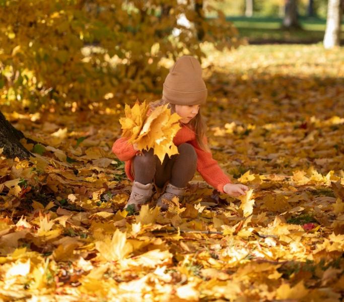 Megérkezett a legújabb időjárás-előrejelzés: a következő héten változékony időjárásra számíthatunk.
