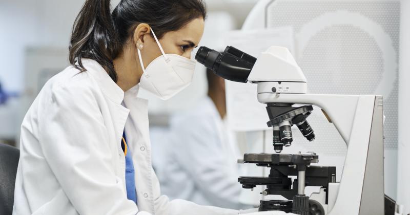 Hazánkban ismét felütötte a fejét a veszélyes kórság: a Nébih szigorú előírásokat és fegyelmet sürget a helyzet kezelésére.